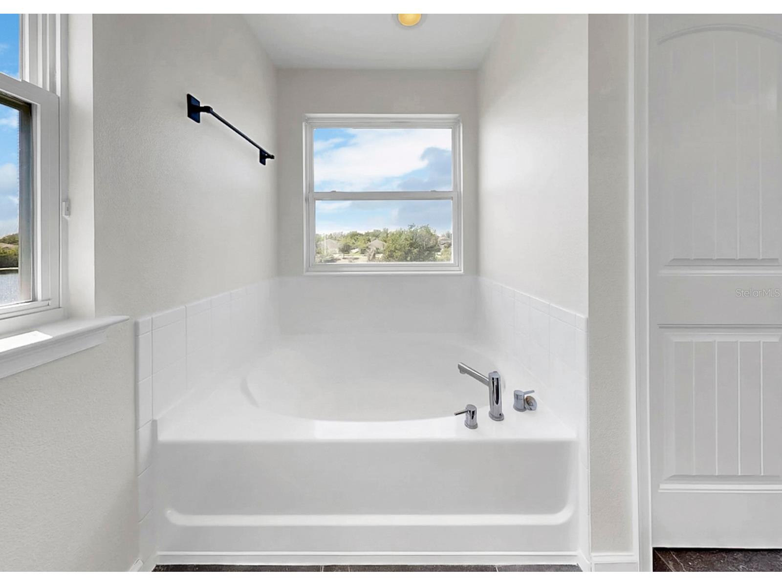 12317 Bay Estuary Bend Riverview FL 33579 TB8498534 image41