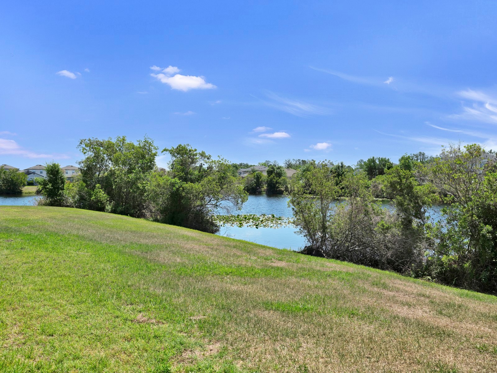 12317 Bay Estuary Bend Riverview FL 33579 TB8498534 image60