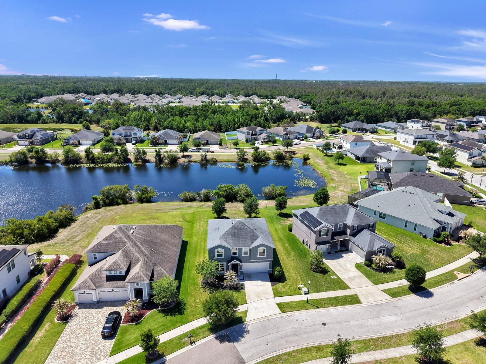 12317 Bay Estuary Bend Riverview FL 33579 TB8498534 image65