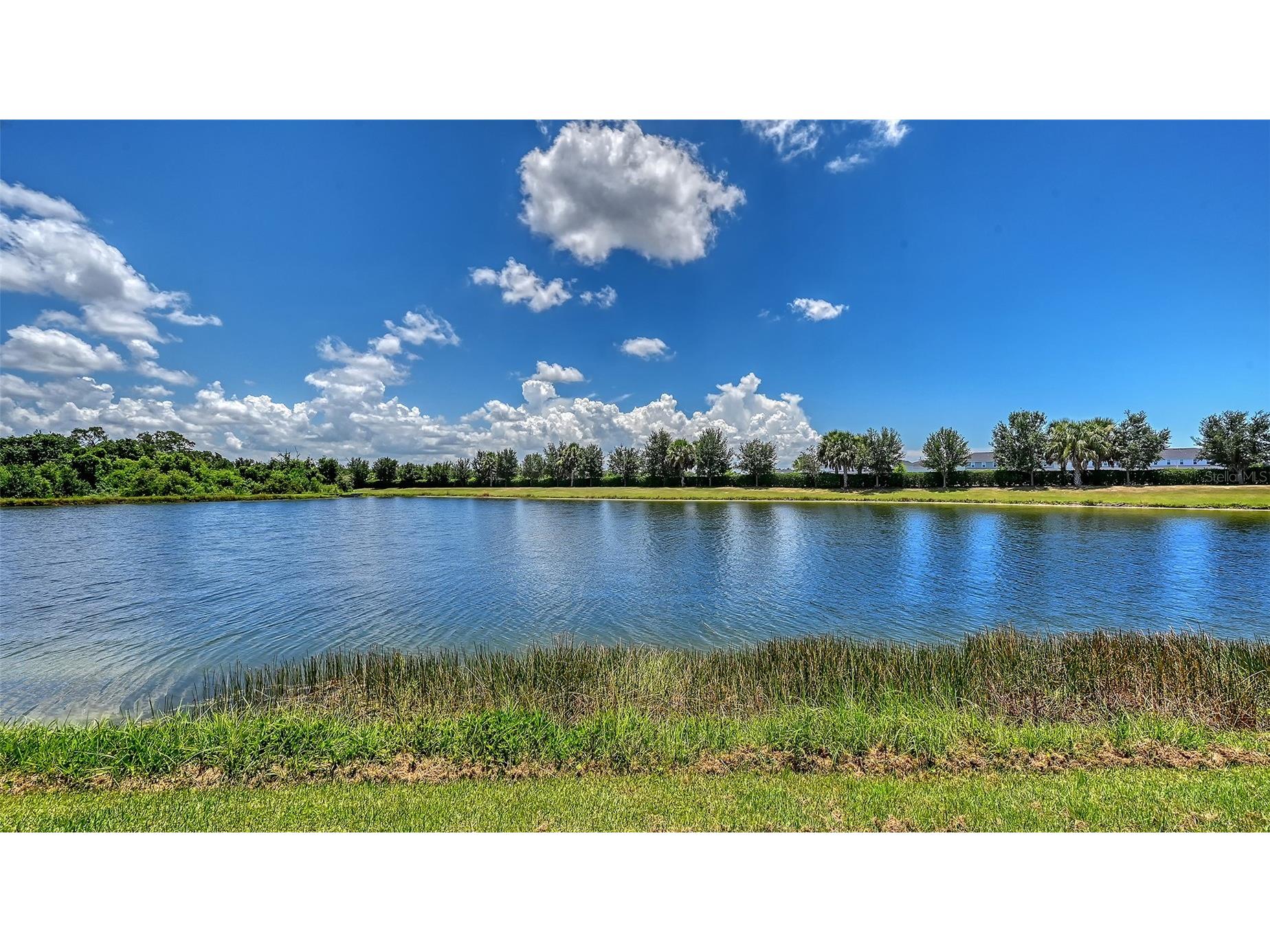 12318 Blue Hill Trail Bradenton FL 34211 A4697629 image54