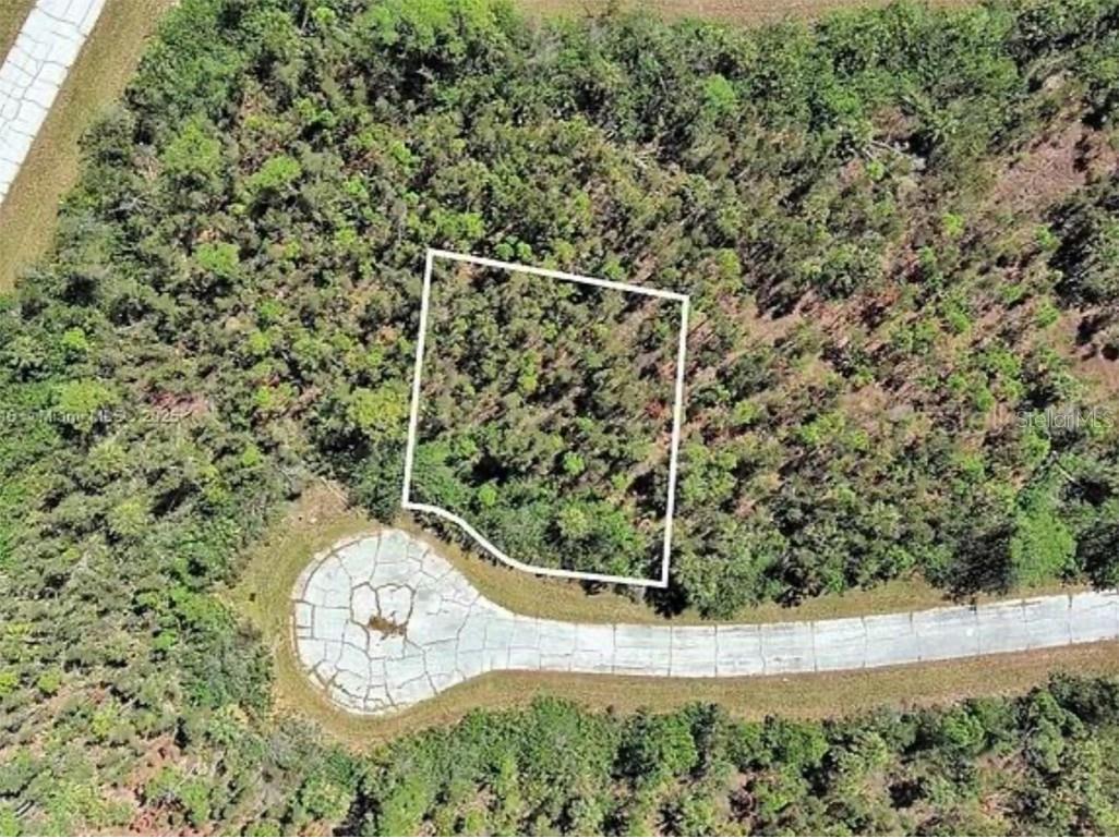 12318 Cod Way Placida FL 33946 O6352027 image1