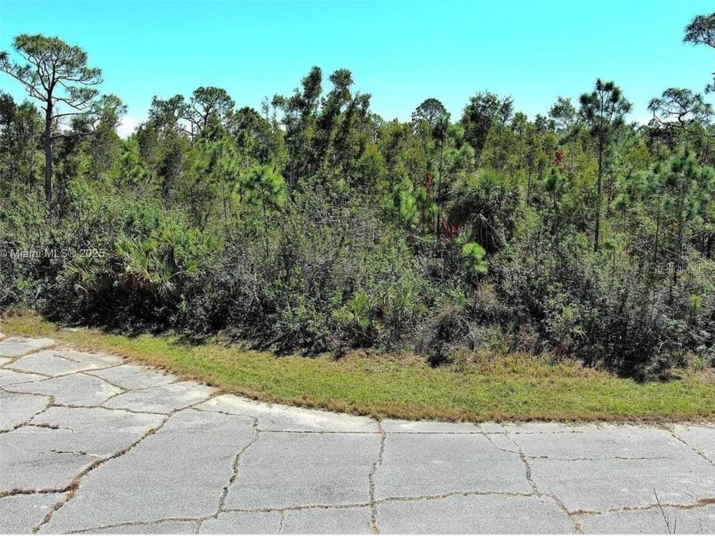 12318 Cod Way Placida FL 33946 O6352027 image2