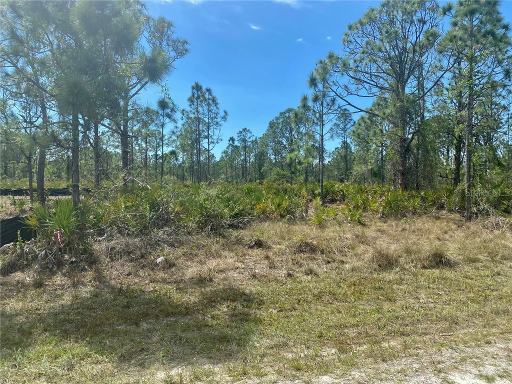 12319 Del Rio Drive Punta Gorda FL 33955 C7474332 image1