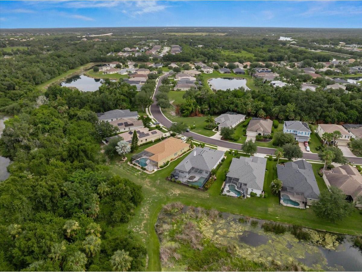 12319 Lavender Loop Bradenton FL 34212 A4699716 image43