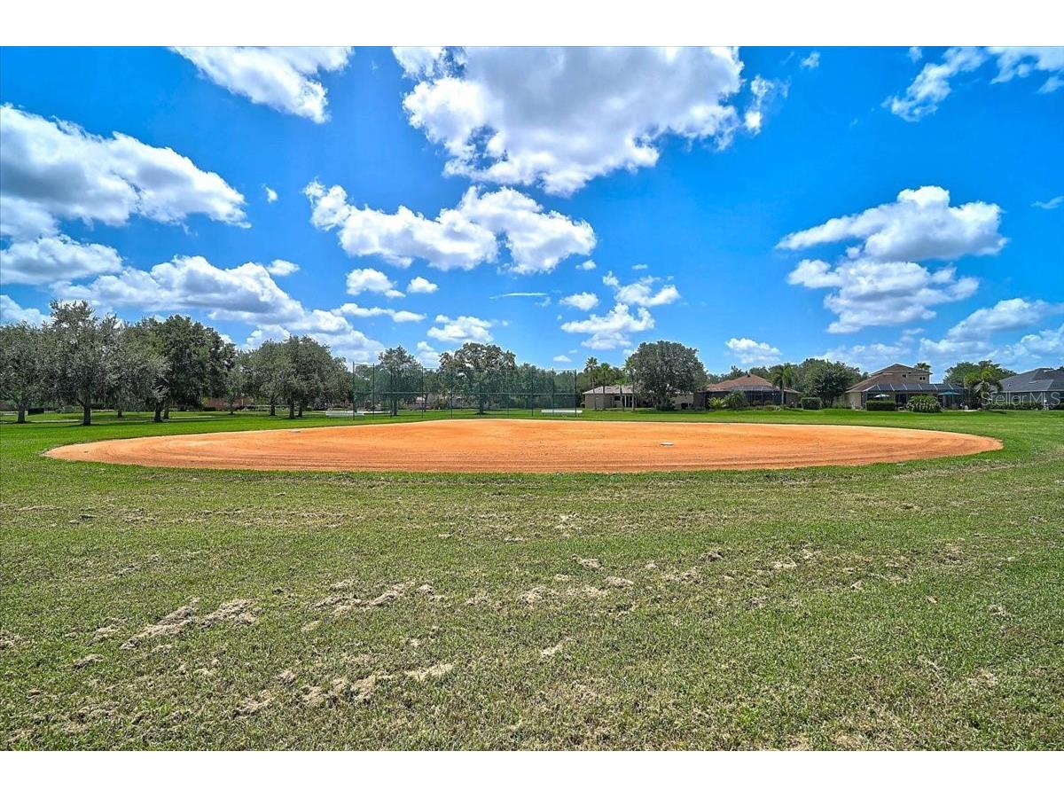 12319 Lavender Loop Bradenton FL 34212 A4699716 image67