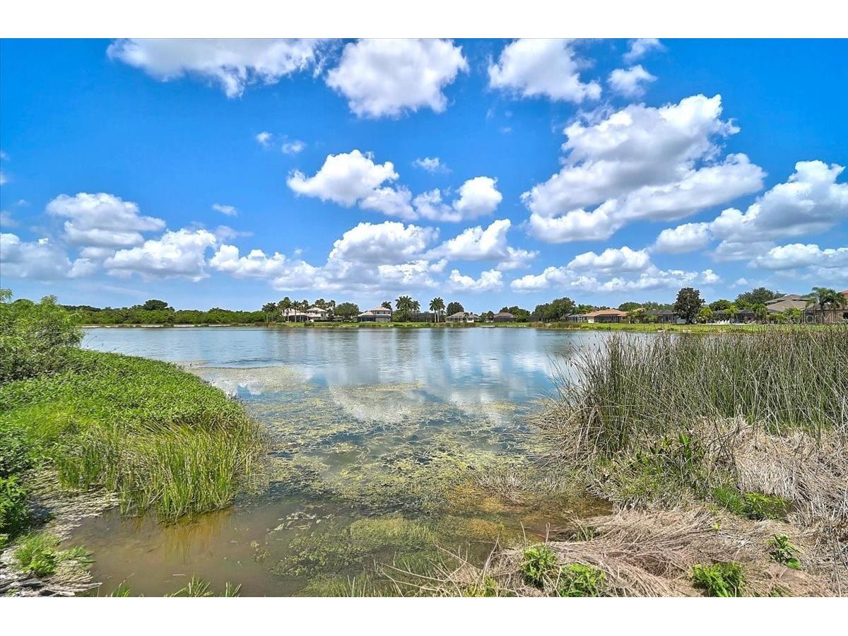 12319 Lavender Loop Bradenton FL 34212 A4699716 image70