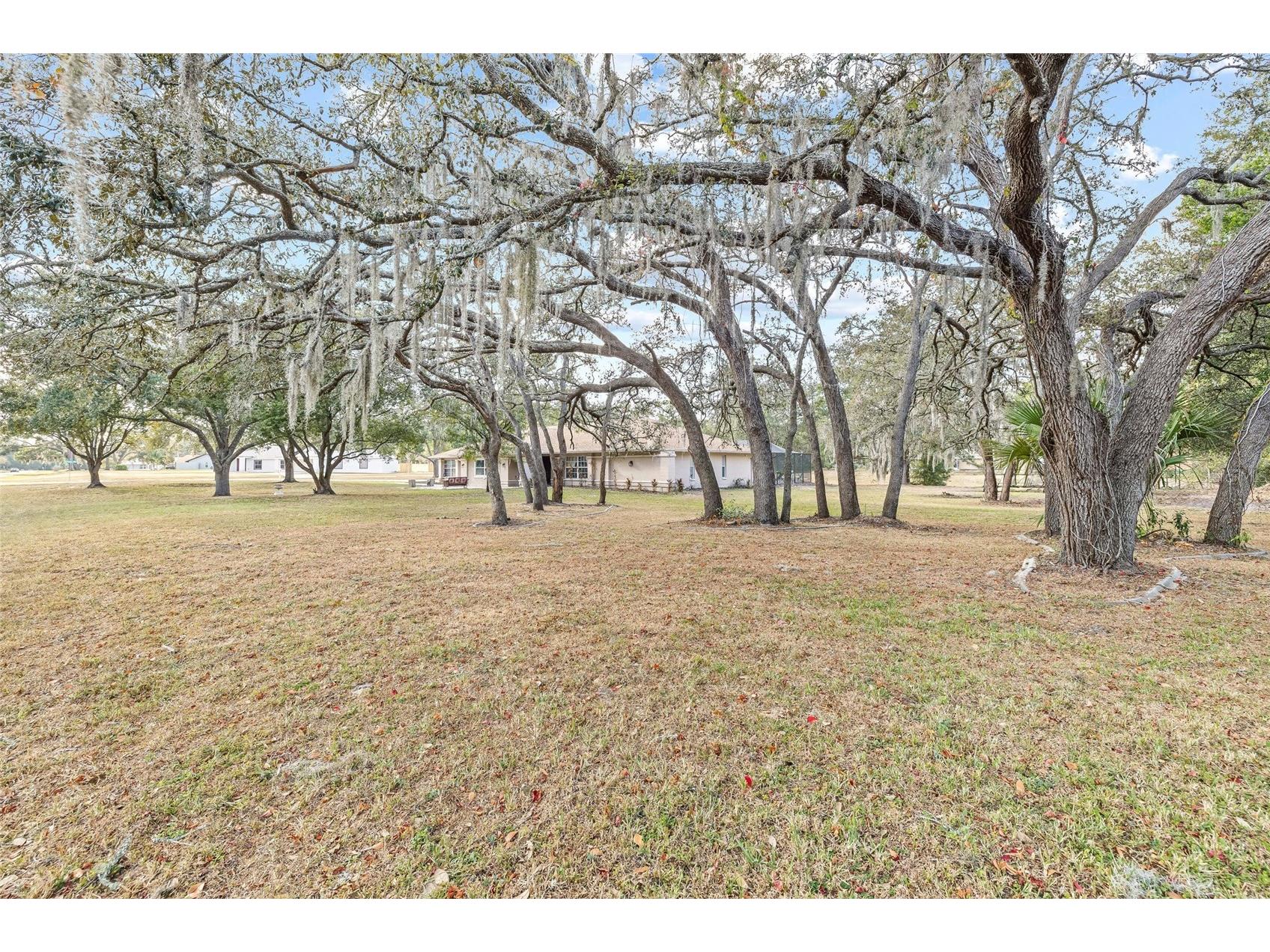 1232 Barranca Avenue Spring Hill FL 34609 TB8484503 image7