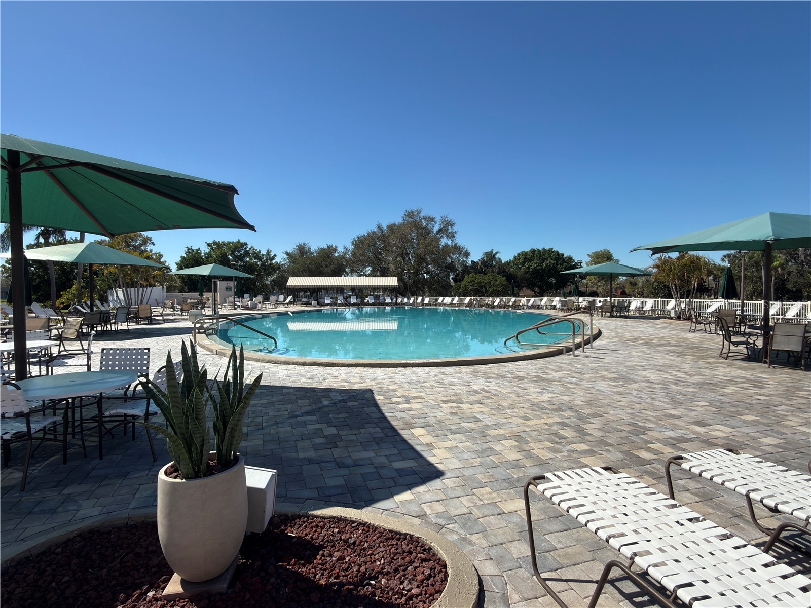 1232 Haddington Circle #65 Sun City Center FL 33573 A4683891 image49