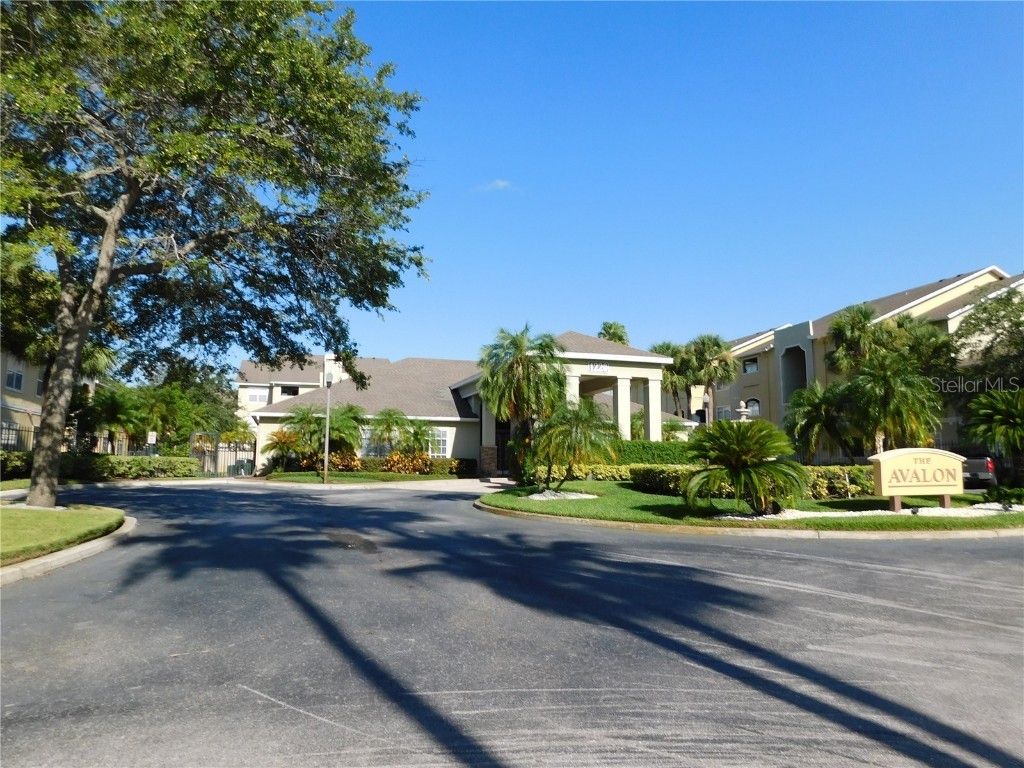 1232 S Missouri Avenue #517 Clearwater FL 33756 TB8406619 image1