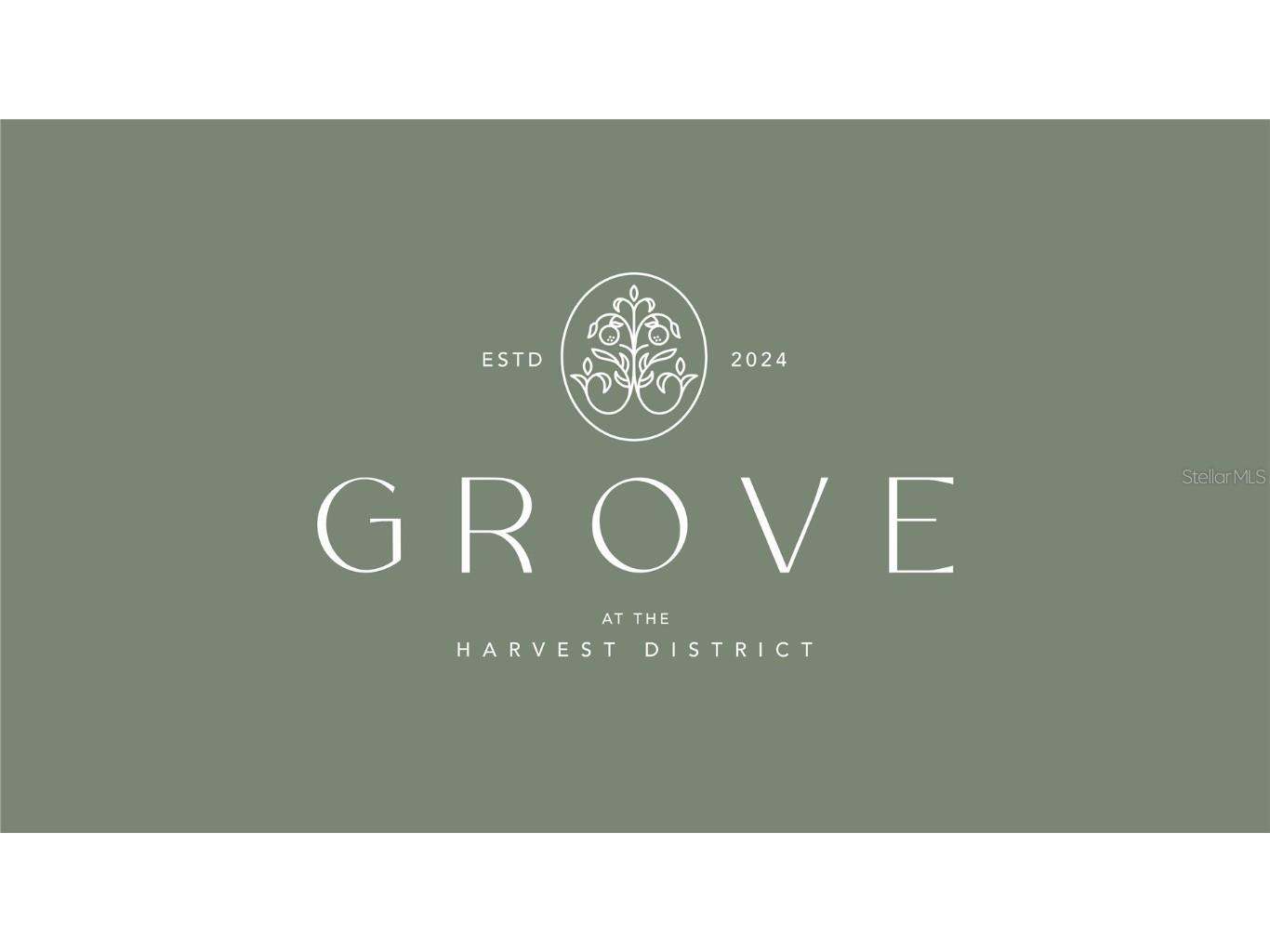 1232 Water Maple Drive Oakland FL 34787 O6296458 image14