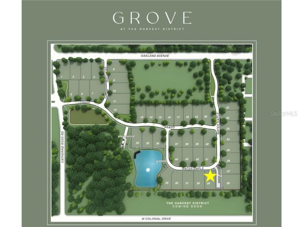 1232 Water Maple Drive Oakland FL 34787 O6296458 image15