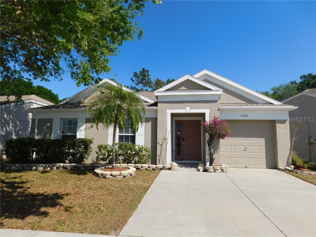 12320 Dawn Vista Drive Riverview FL 33578 T3434743 image1