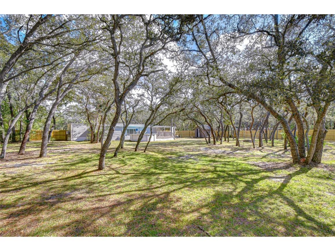 12321 Kingdom Way Hudson FL 34667 TB8448741 image39