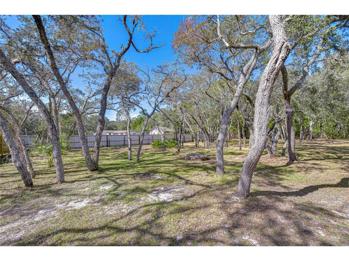 12321 Kingdom Way Hudson FL 34667 TB8448741 image40