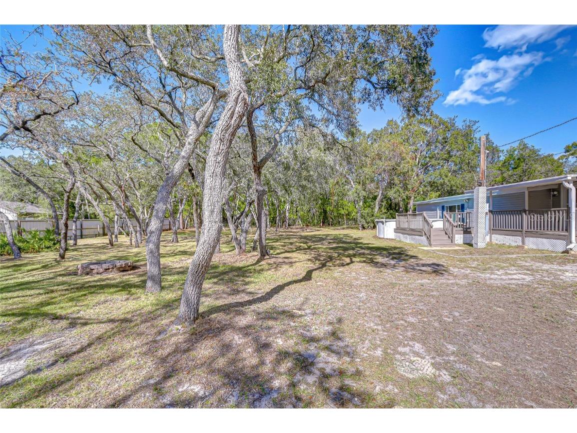 12321 Kingdom Way Hudson FL 34667 TB8448741 image41