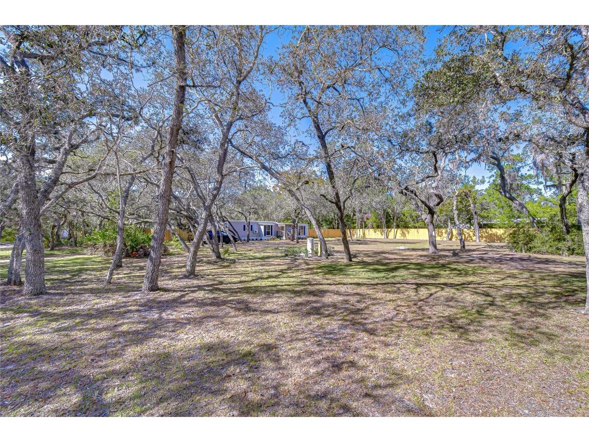 12321 Kingdom Way Hudson FL 34667 TB8448741 image6