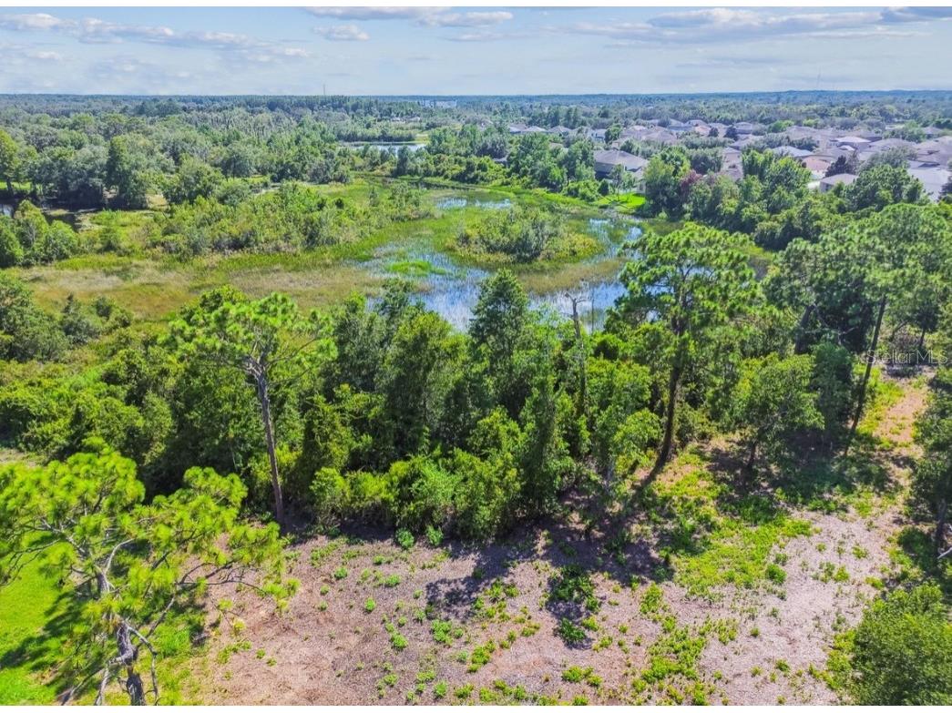 12321 Shady Hills Road Spring Hill FL 34610 TB8416008 image18