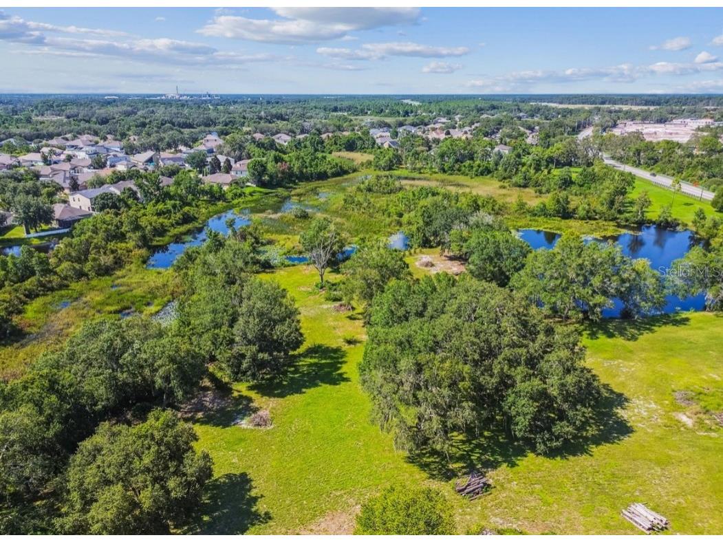 12321 Shady Hills Road Spring Hill FL 34610 TB8416008 image27