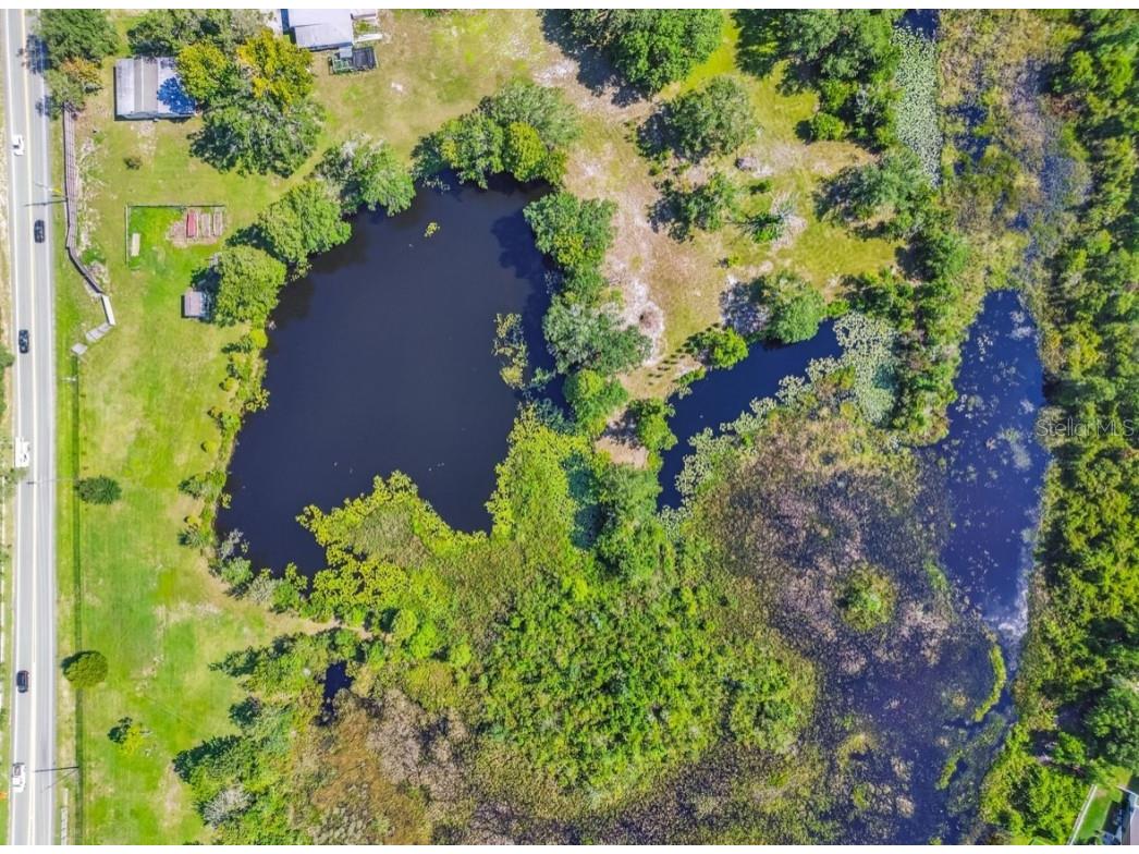 12321 Shady Hills Road Spring Hill FL 34610 TB8416008 image29