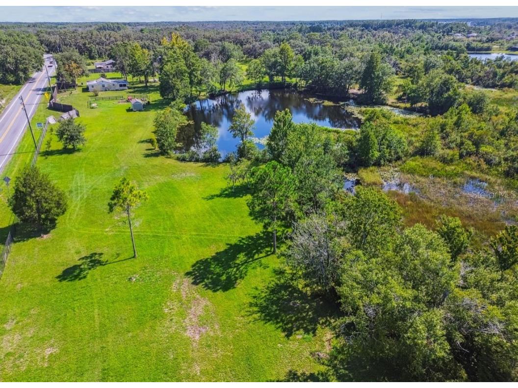 12321 Shady Hills Road Spring Hill FL 34610 TB8416011 image20