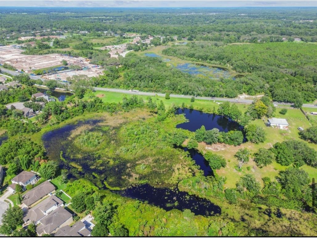 12321 Shady Hills Road Spring Hill FL 34610 TB8416011 image4