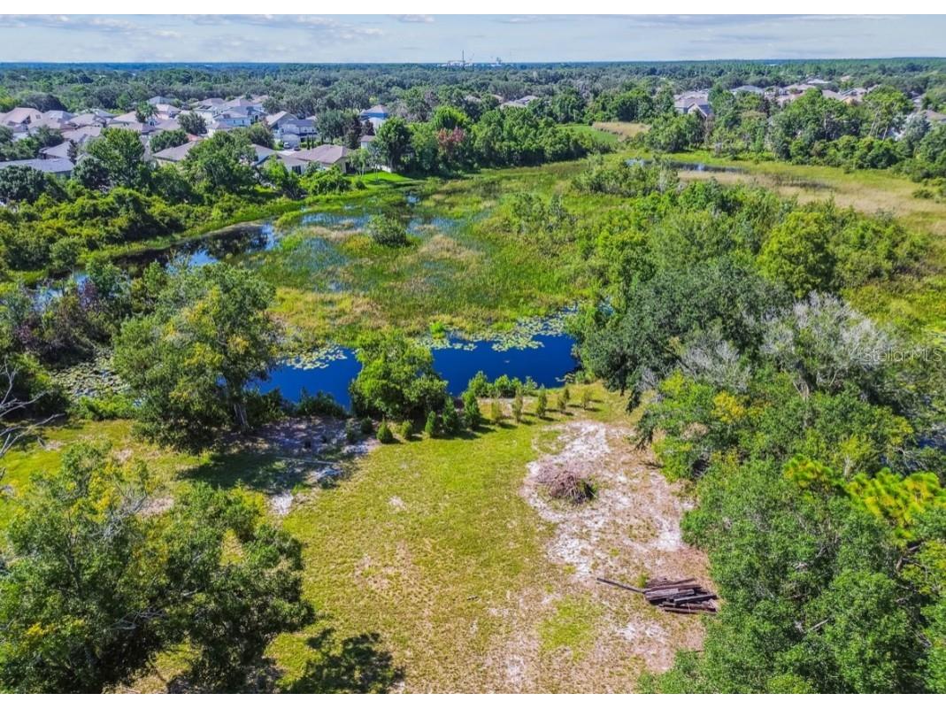 12321 Shady Hills Road Spring Hill FL 34610 TB8416011 image6