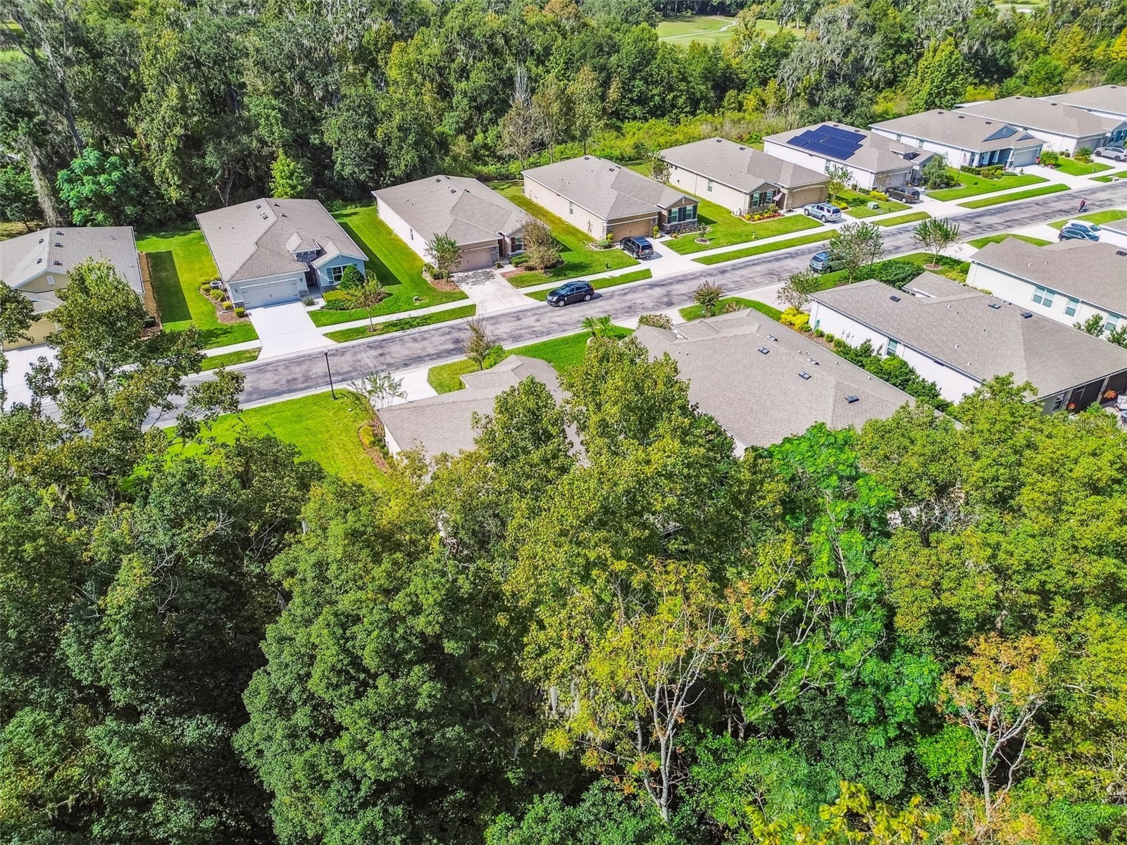 12322 Eastpointe Drive Dade City FL 33525 TB8448546 image11