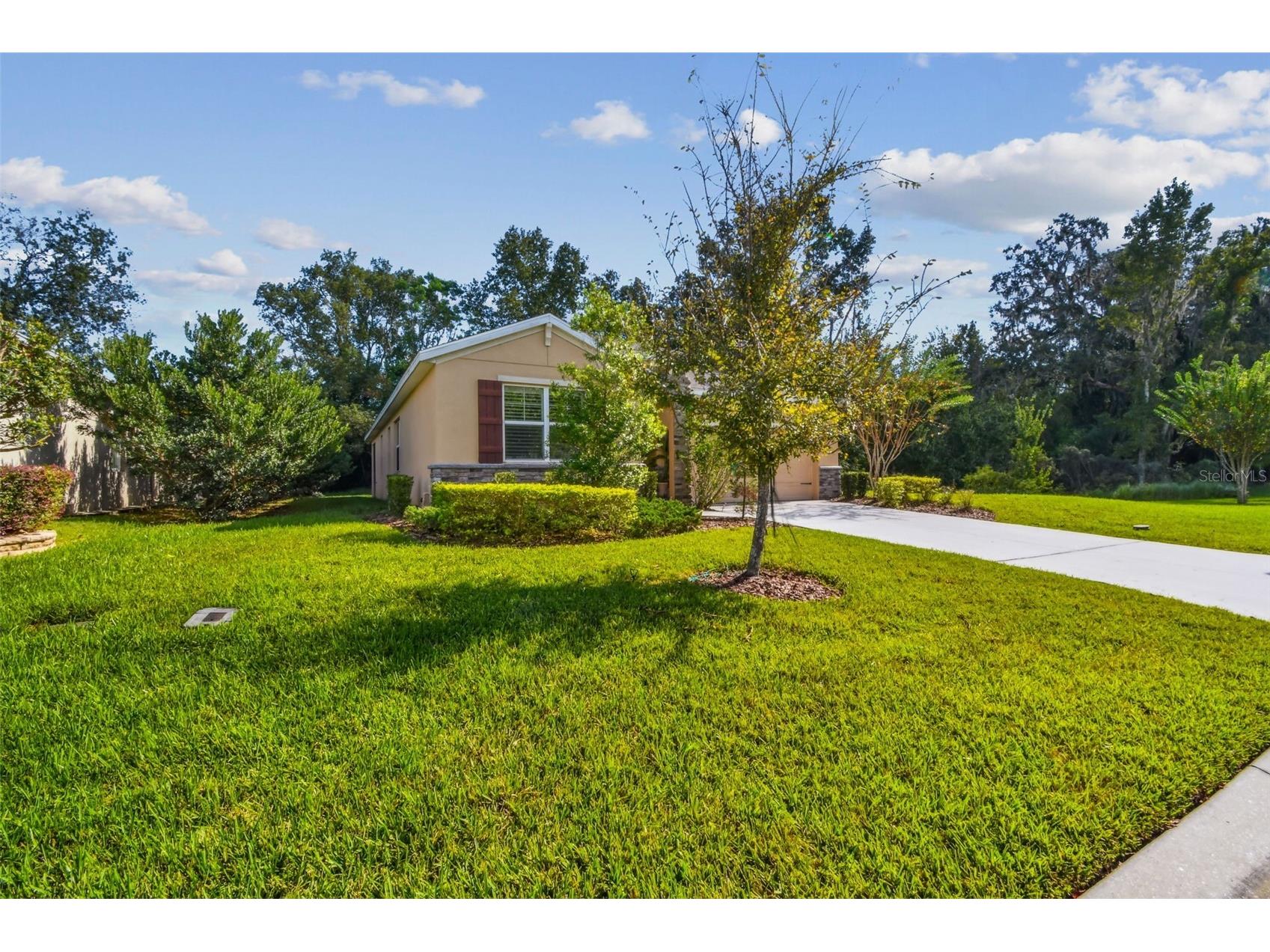 12322 Eastpointe Drive Dade City FL 33525 TB8448546 image62