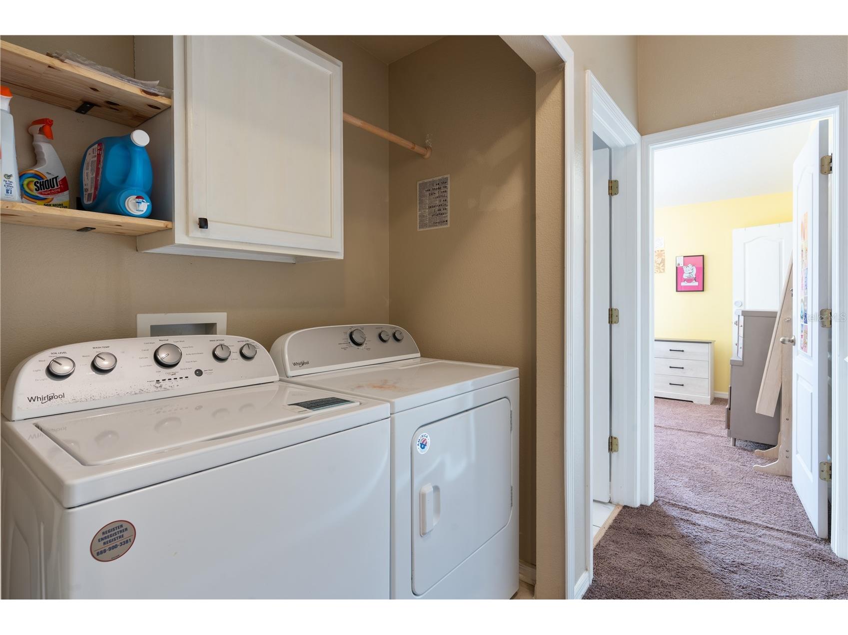 12322 Foxmoor Peak Drive Riverview FL 33579 TB8495810 image20
