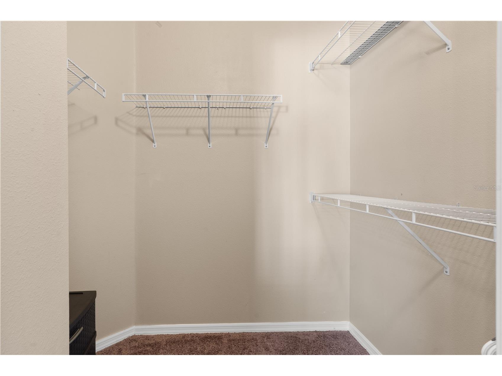 12322 Foxmoor Peak Drive Riverview FL 33579 TB8495810 image26