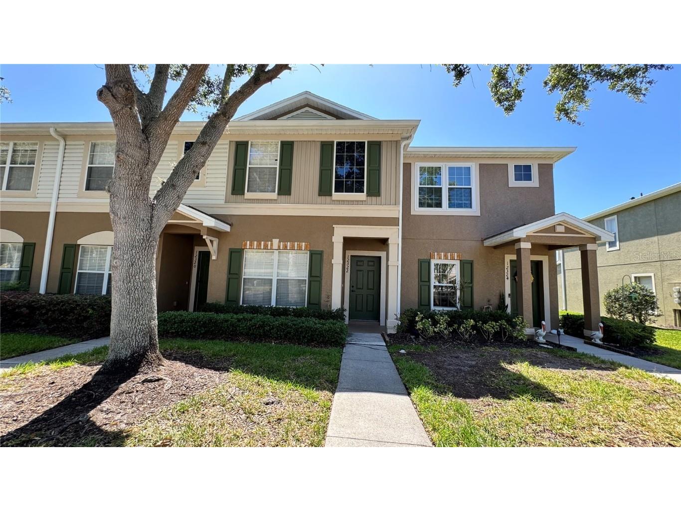 12322 Healey Summit Lane Riverview FL 33579 T3523269 image1