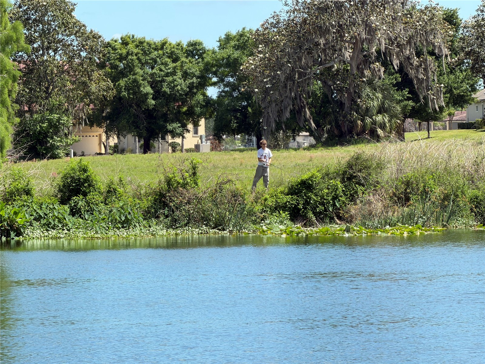 12322 Stonelake Ranch Boulevard Thonotosassa FL 33592 TB8496836 image10