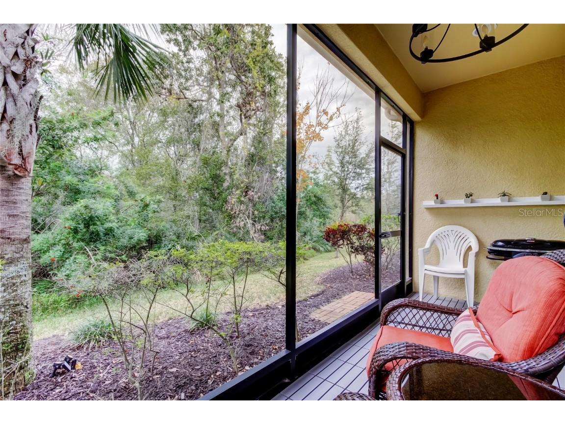 12322 Terracina Chase Court Tampa FL 33625 TB8455133 image25
