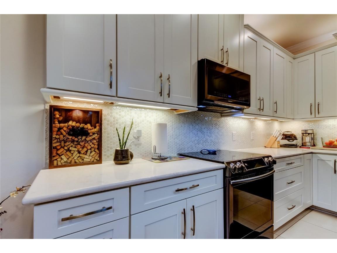 12322 Terracina Chase Court Tampa FL 33625 TB8455133 image9