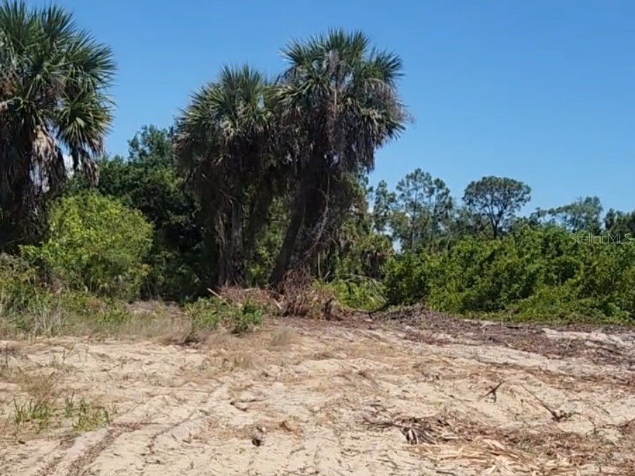 12323 Clarendon Avenue Port Charlotte FL 33981 TB8518934 image3
