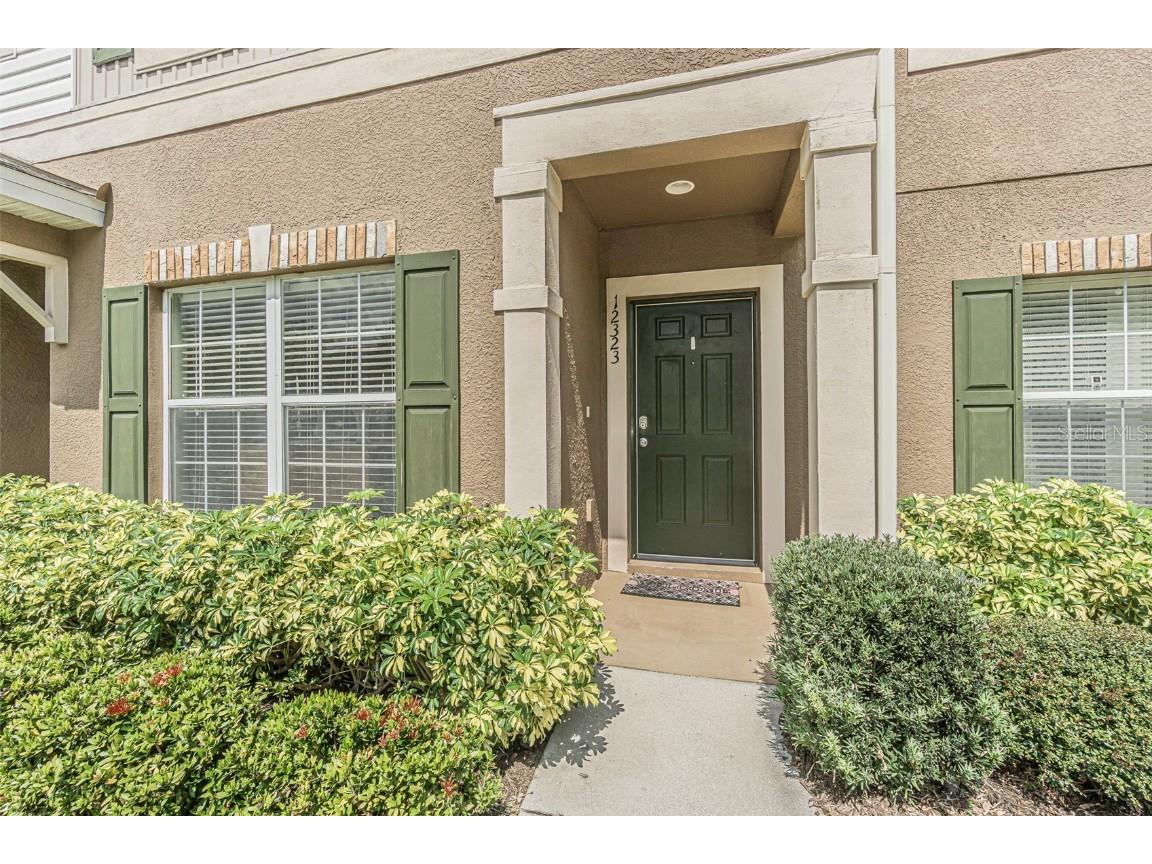 12323 Healey Summit Lane Riverview FL 33579 T3505312 image1