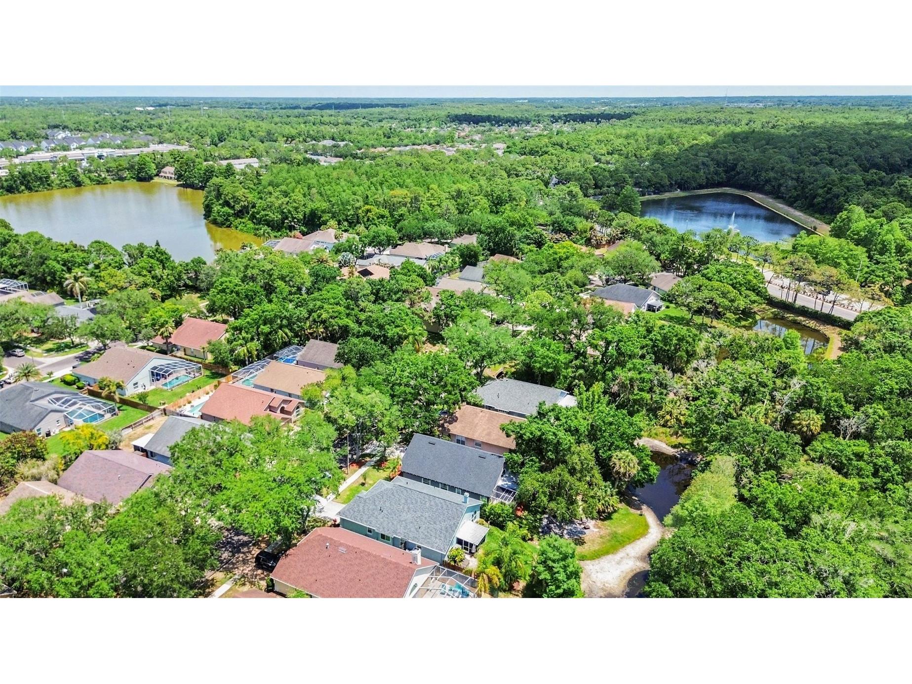 12324 Glenfield Avenue Tampa FL 33626 TB8502911 image28
