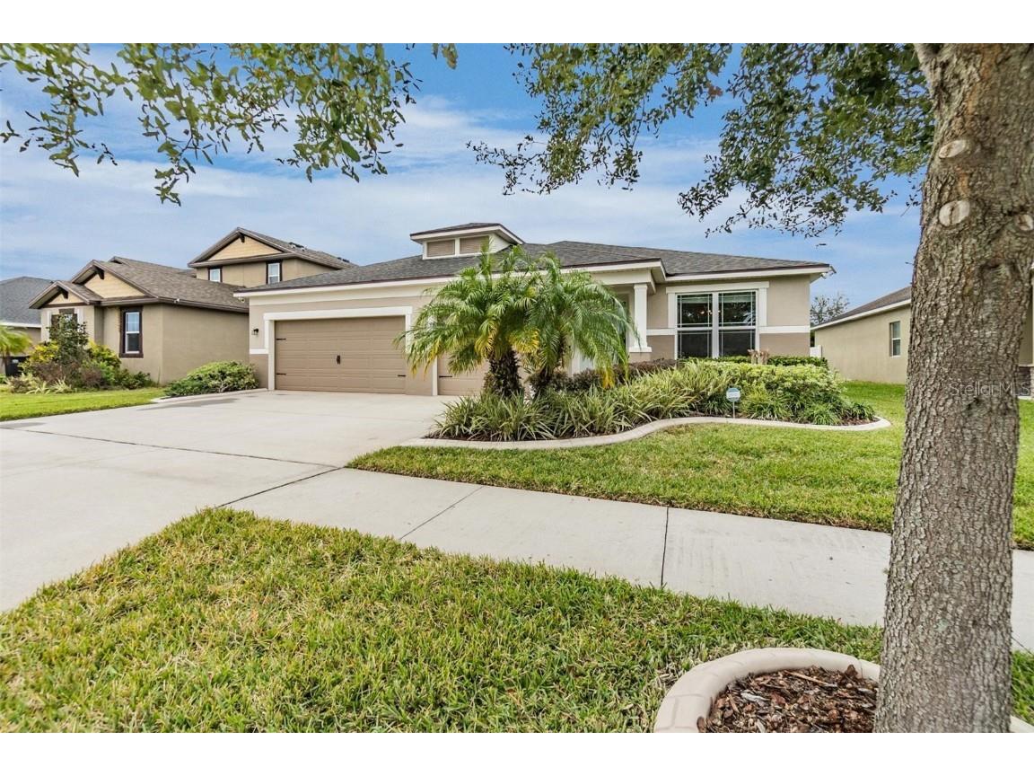 12324 Juniper Field Court Riverview FL 33579 T3495932 image1
