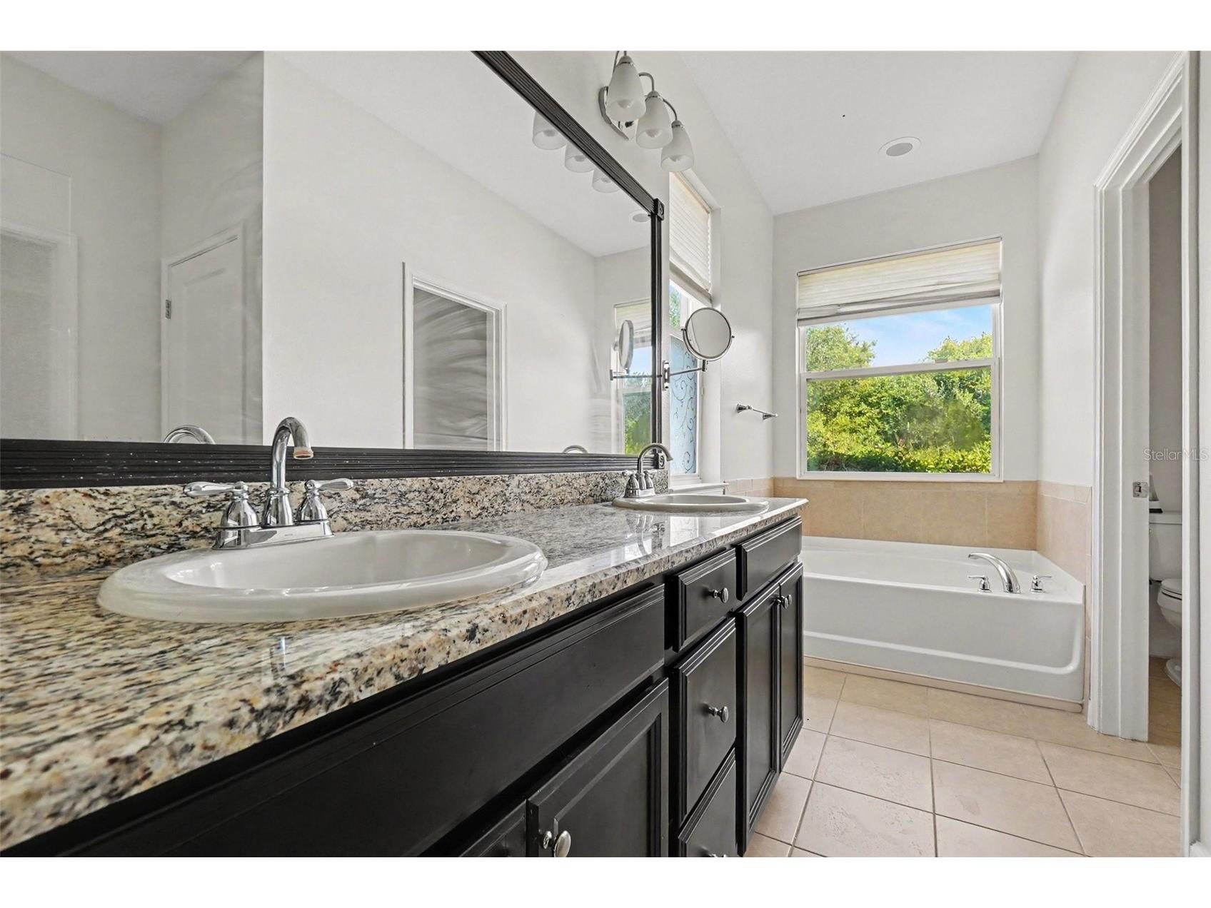12324 Streambed Drive Riverview FL 33579 O6422324 image12