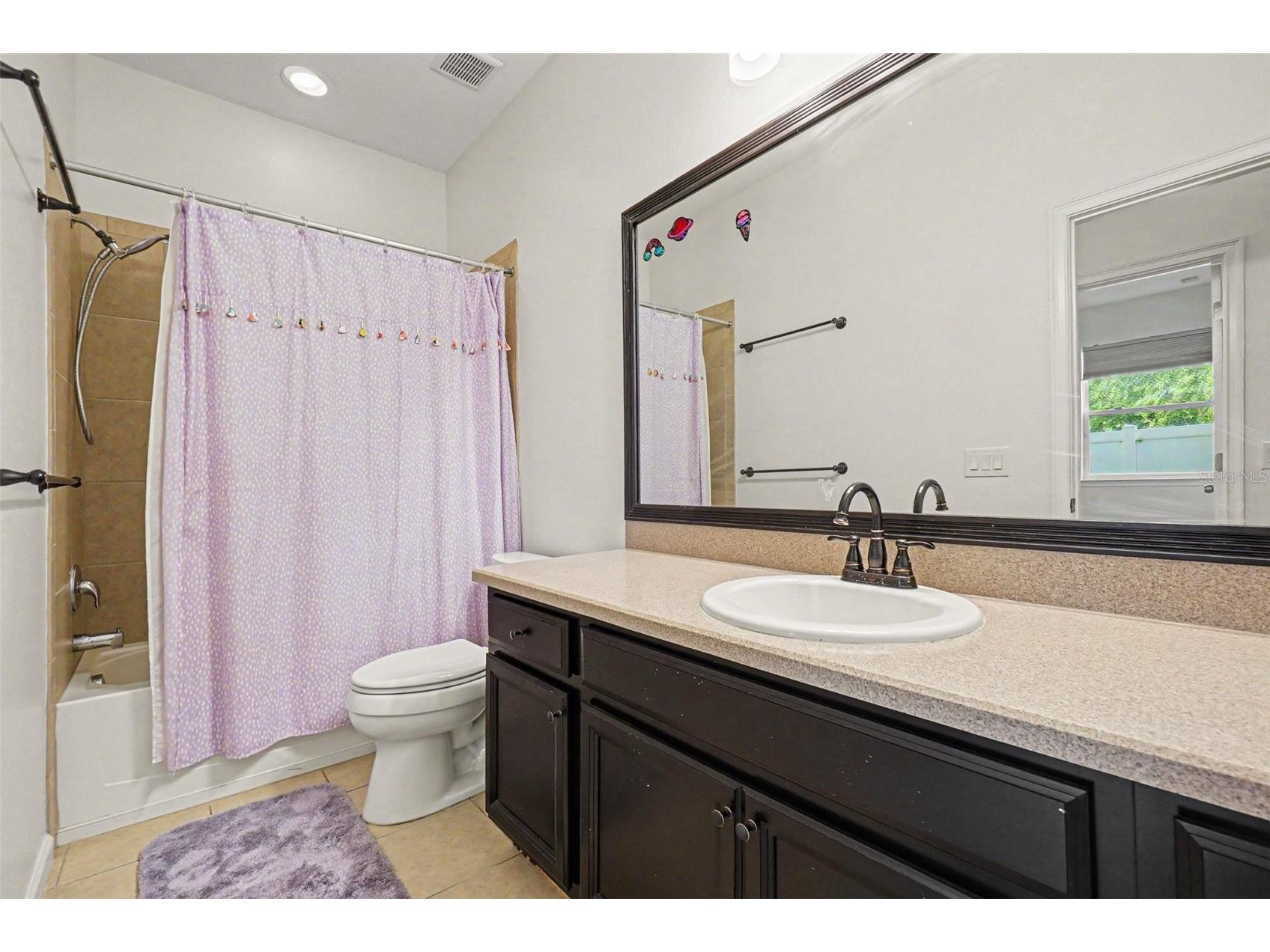 12324 Streambed Drive Riverview FL 33579 O6422324 image19