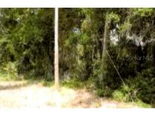 12325 & 12303 Stagg Road Winter Garden FL 34787 O6358096 image5