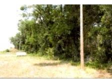 12325 & 12303 Stagg Road Winter Garden FL 34787 O6358096 image6