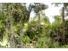 12325 & 12303 Stagg Road Winter Garden FL 34787 O6358096 image7