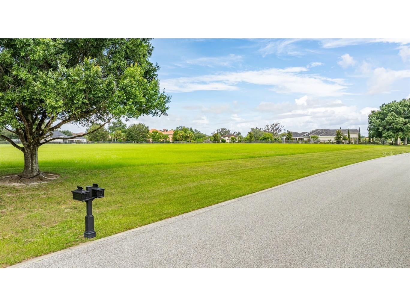 12325 Stonelake Ranch Boulevard Thonotosassa FL 33592 - LAKE THONOTOSASSA TB8405109 image11