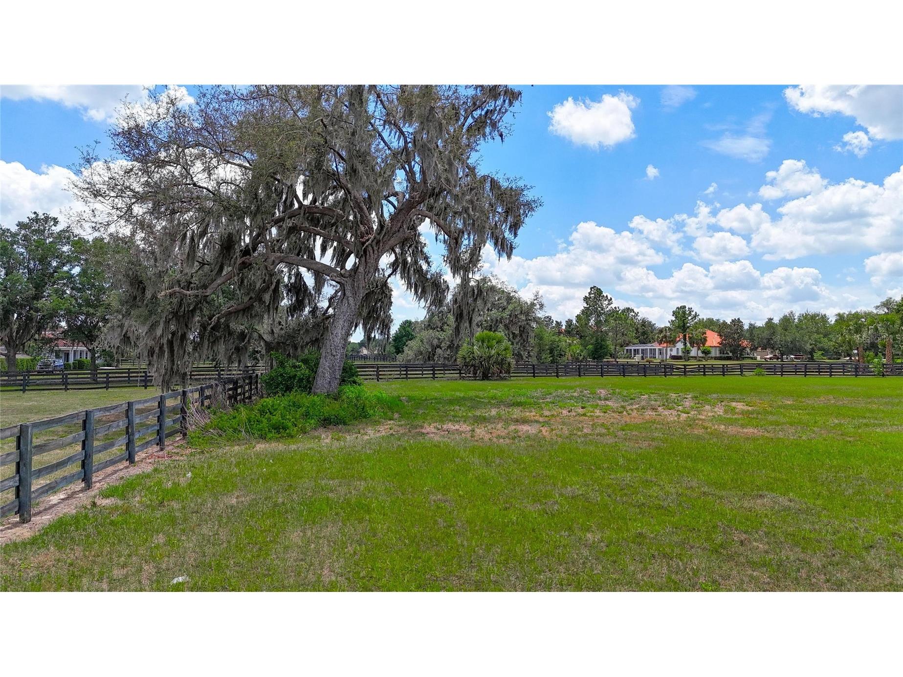 12325 Stonelake Ranch Boulevard Thonotosassa FL 33592 - LAKE THONOTOSASSA TB8504831 image11