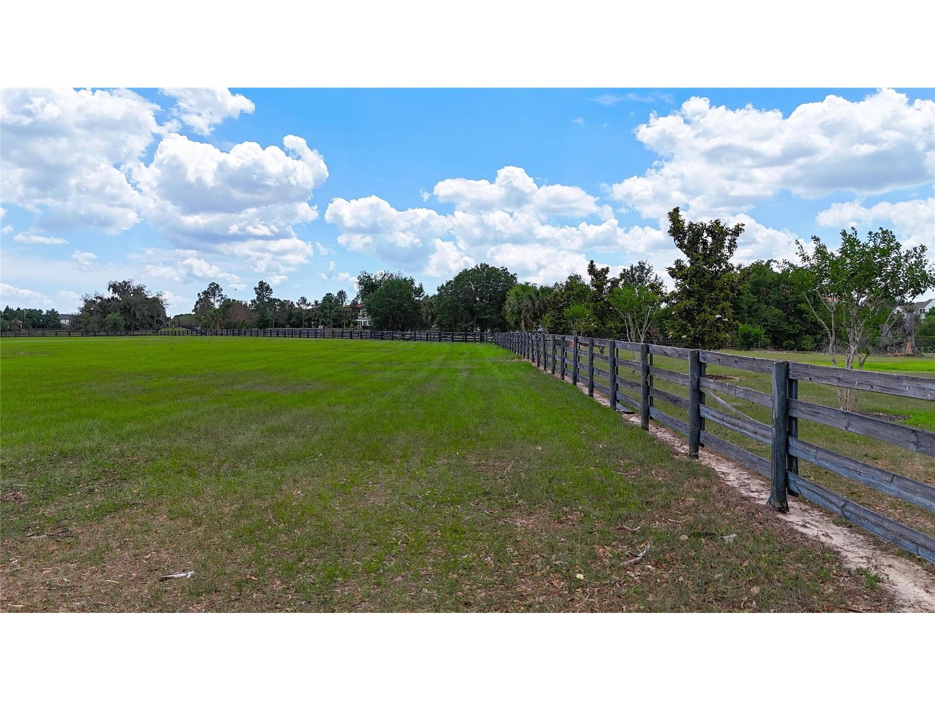 12325 Stonelake Ranch Boulevard Thonotosassa FL 33592 - LAKE THONOTOSASSA TB8504831 image16