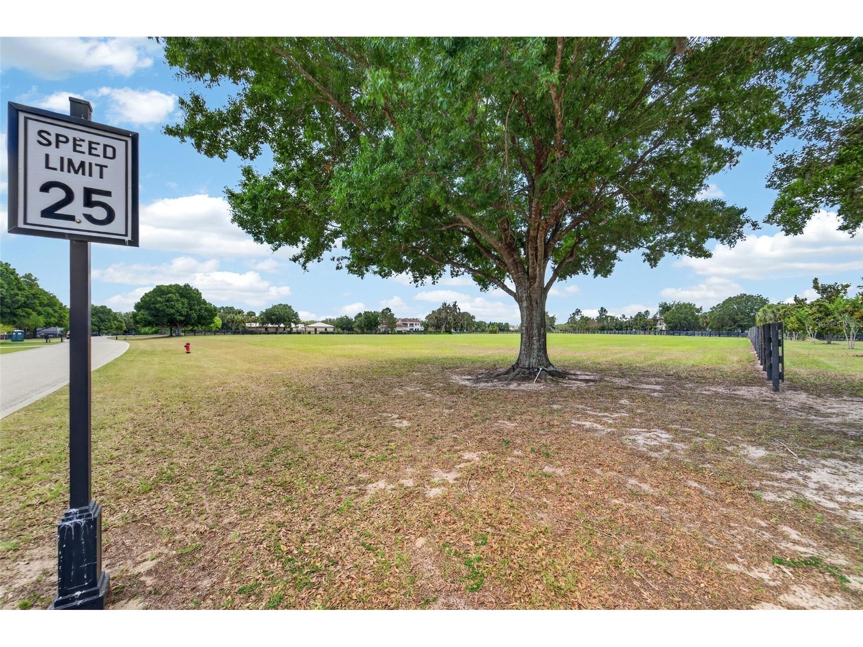 12325 Stonelake Ranch Boulevard Thonotosassa FL 33592 - LAKE THONOTOSASSA TB8504831 image21