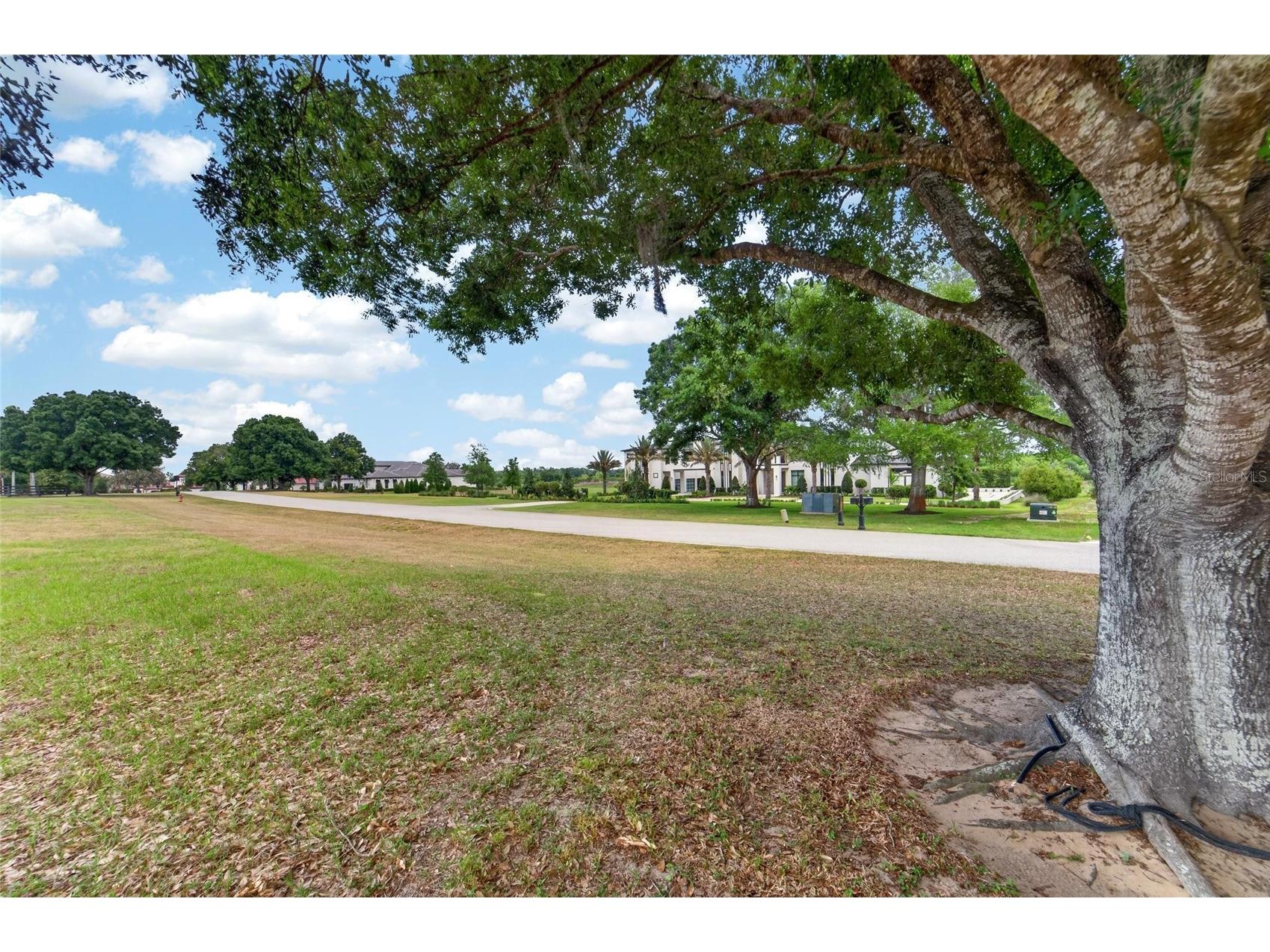 12325 Stonelake Ranch Boulevard Thonotosassa FL 33592 - LAKE THONOTOSASSA TB8504831 image23