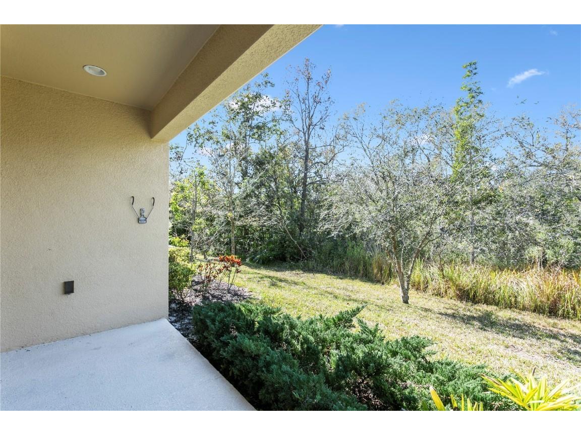 12326 Terracina Chase Court Tampa FL 33625 TB8349689 image14