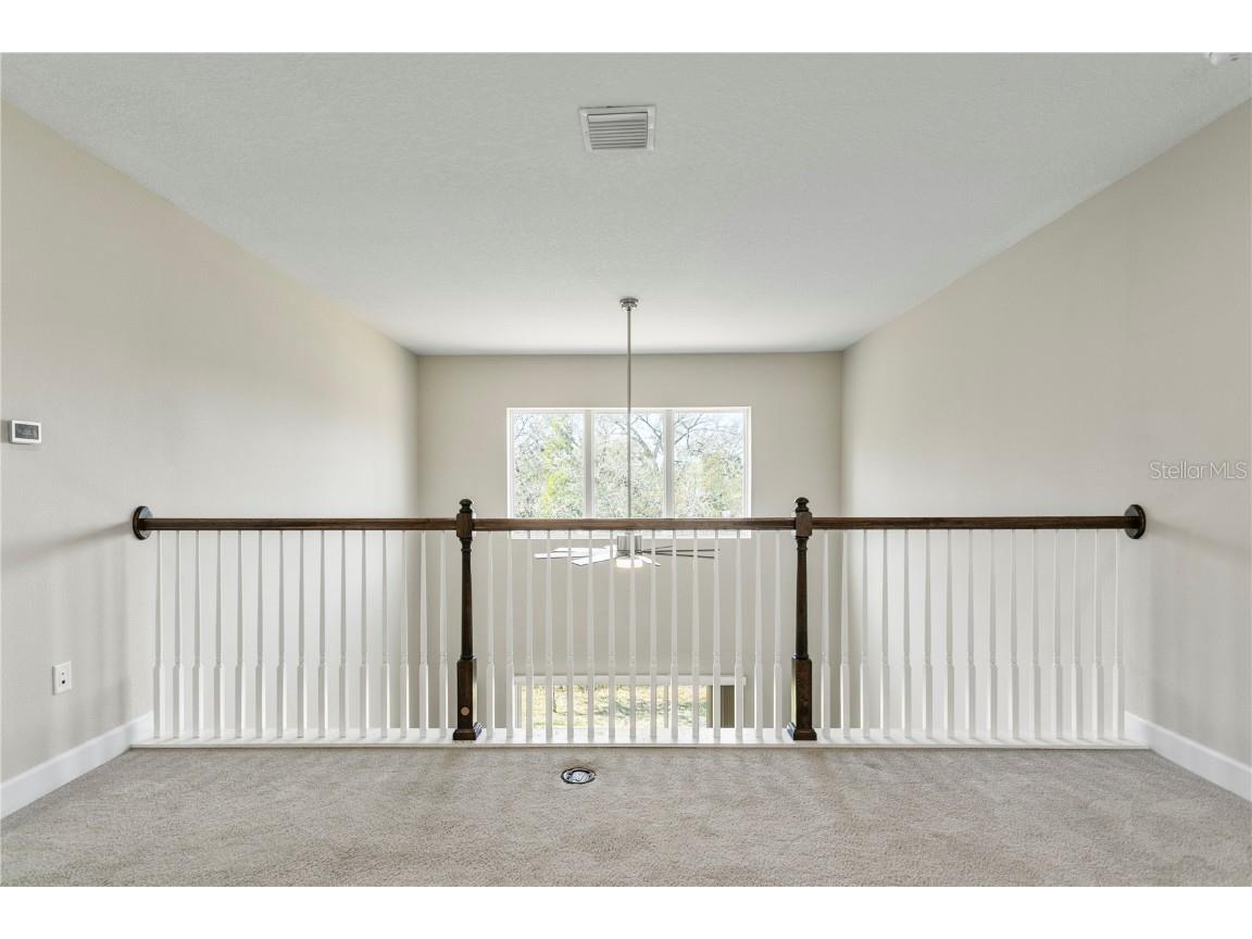 12326 Terracina Chase Court Tampa FL 33625 TB8349689 image28